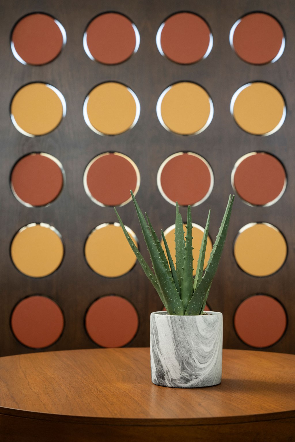 an aloe vera plant in a white vase on a wooden table in front of