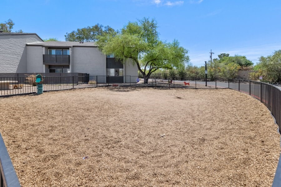 community dog park