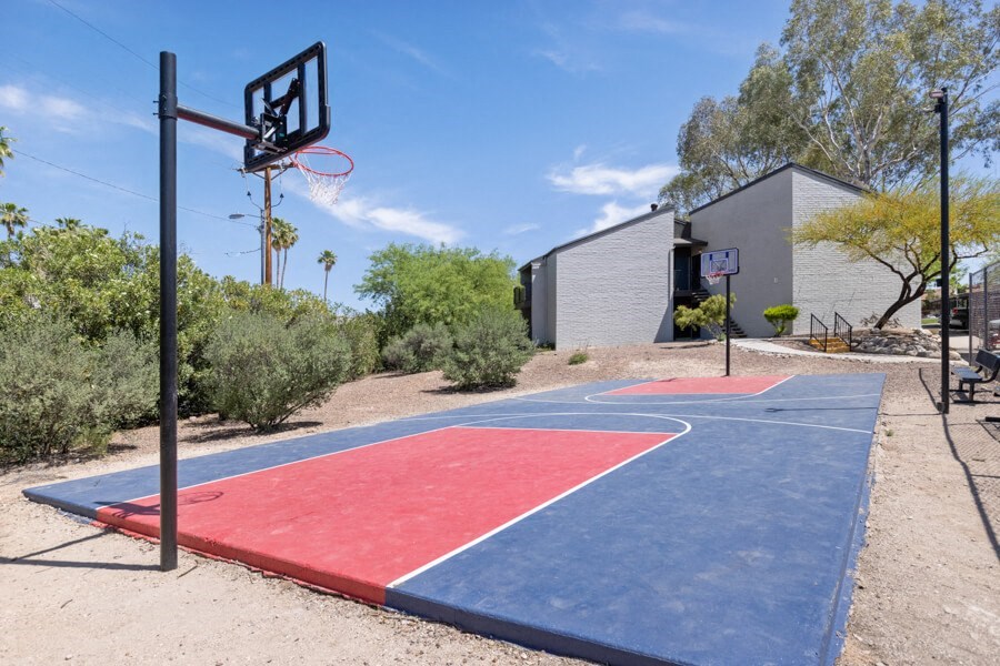 community basketball court