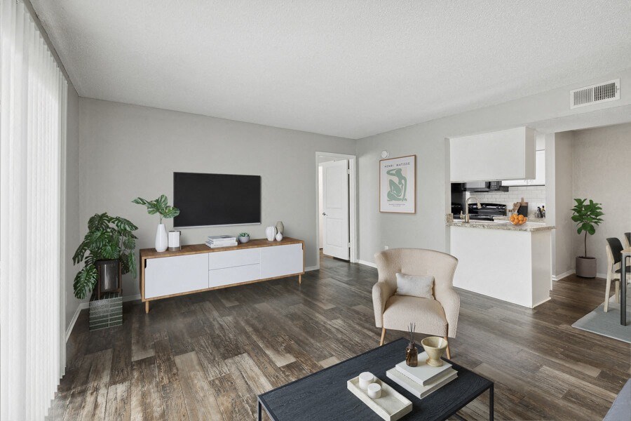 Apartment living room with flat screen tv