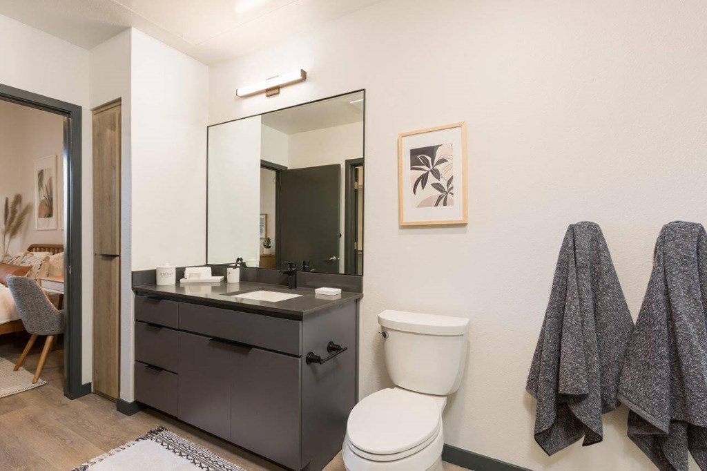Model bathroom with dark, designer vanity