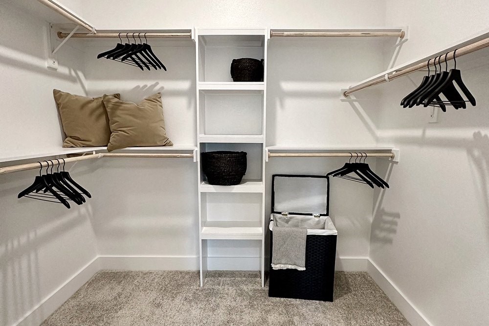 a walk in closet with white walls and shelves and a closet organizer