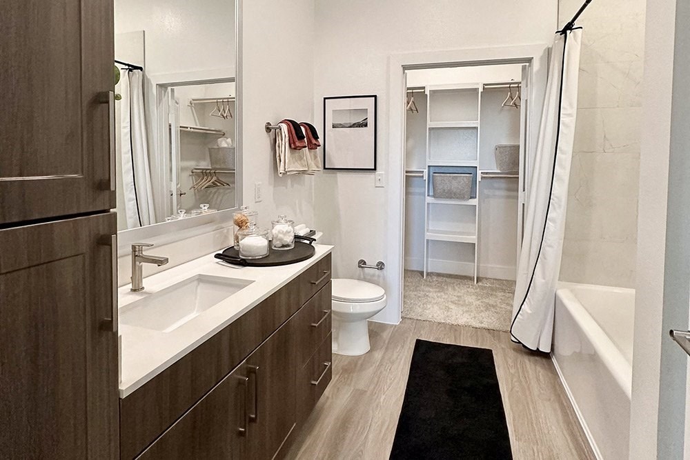 a bathroom with a sink and a toilet and a shower
