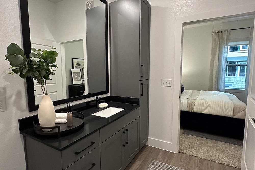 Ovation At Galatyn Park Apartments, 2323 Plaza Boulevard, Richardson