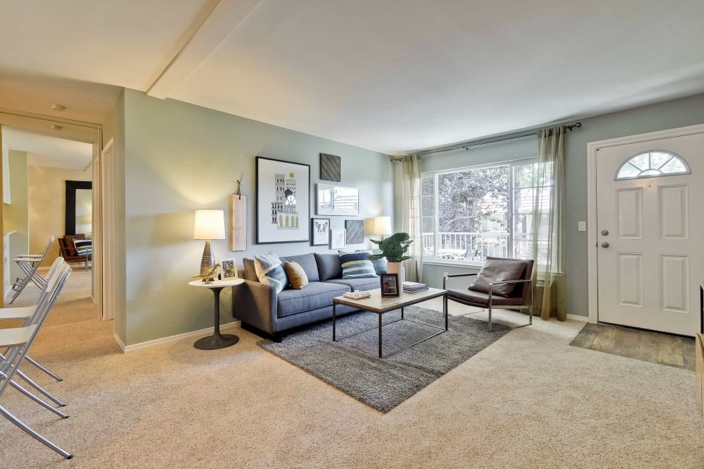 A living room with a grey couch, a black and white picture frame, a grey rug, a black floor lamp, a white door, a white wall, a white ceiling, a white chair, a white table, a white floor lamp