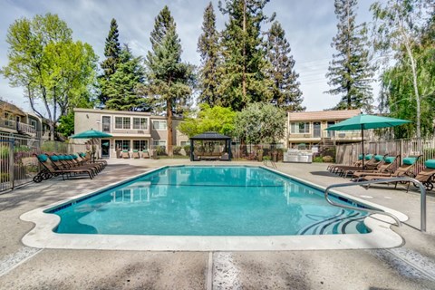 Pet-Friendly Affordable Apartments in San Jose, CA - Los Gatos Landing - A Swimming Pool With Lounge Chairs, Large Umbrellas, And Apartment Buildings.