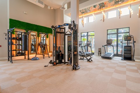 Community gym with treadmills and a smitch machine at The Brooke at Rocky Point in Tampa, Florida.