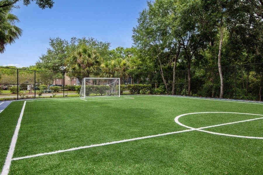 Soccer Field View