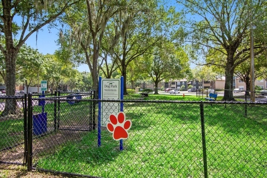 Dog Park