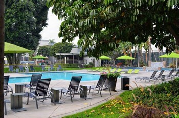 Pool with loungers - Photo Gallery 6