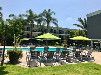 Pool with loungers and shade umbrellas - Photo Gallery 5