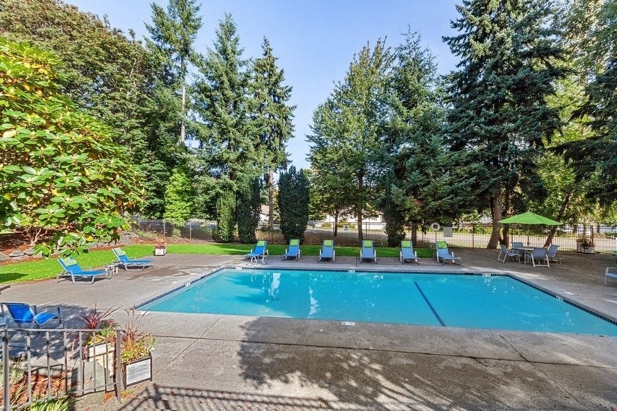 Pool courtyard with lounge chairs and tall pine trees for private feeling