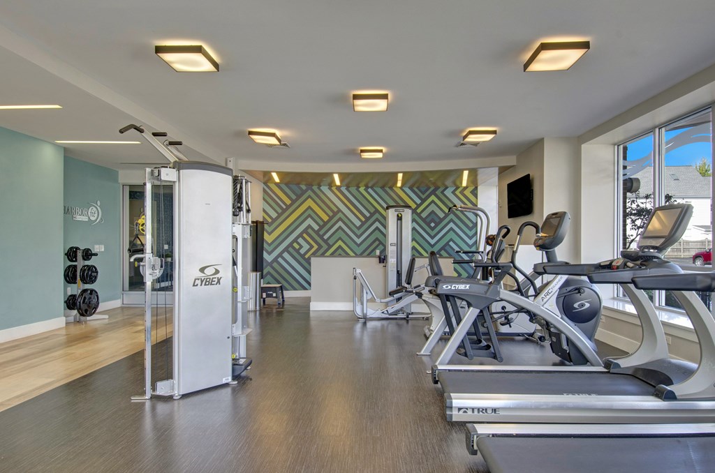A gym with treadmills, weights, and exercise equipment.