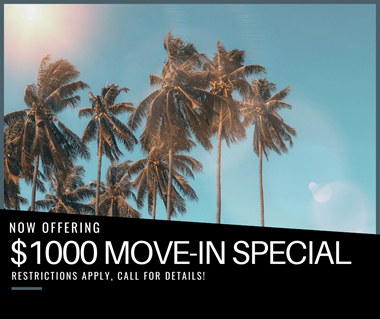 $1000 off social special