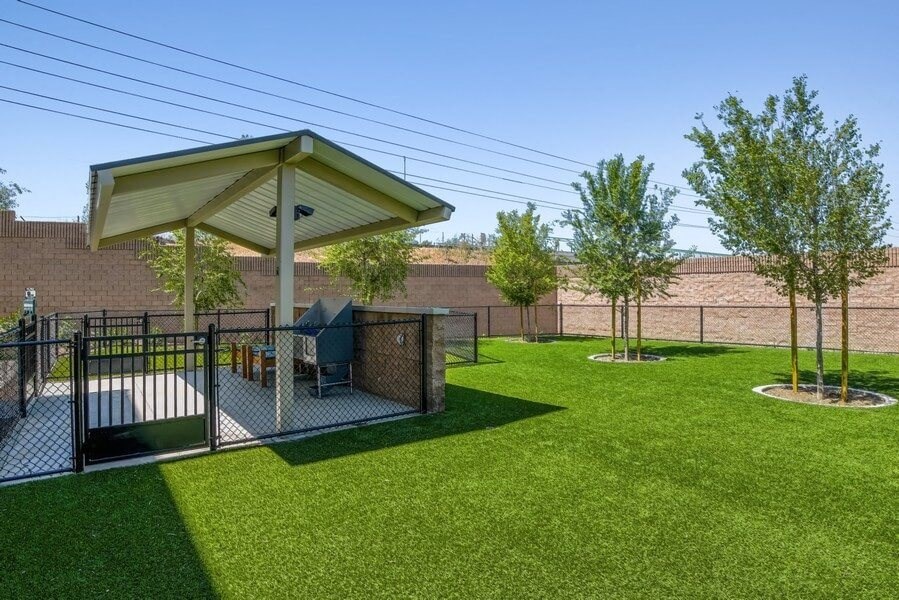 Dog play area with dog washing station