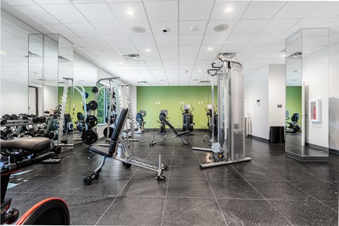 A gym with a variety of equipment including a rowing machine, a bench press, and a squat rack.
