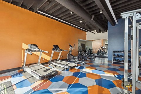 Santa Ana, CA, Apartments Near Newport Beach - Horizon - A Fitness Center With Treadmills, Elliptical Machines, A Weight Rack, And A Cable Machine.