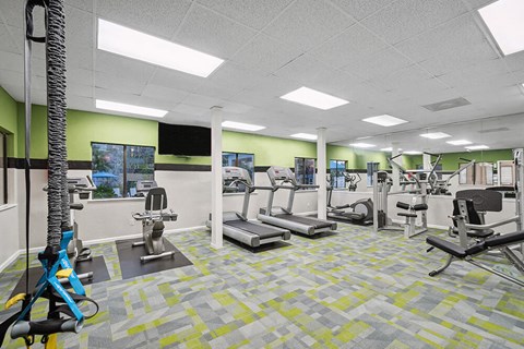 Westside Jacksonville, FL, Apartments Near Orange Park Mall - Westland Park - A Fitness Center Features Treadmills, Exercise Machines, Large Mirrors, And Bright Overhead Lighting.