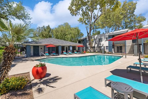 South Tucson, AZ, Pet-Friendly Apartments - Solano Springs - A Swimming Pool With Lounge Chairs, Red Umbrellas, Palm Trees, And A View Of Apartment Buildings.