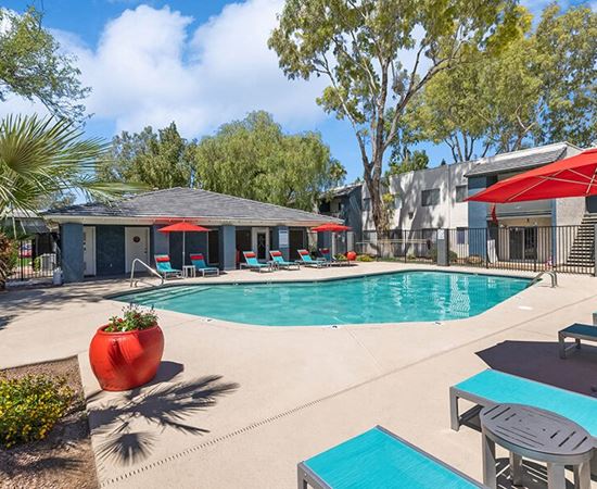 South Tucson, AZ, Pet-Friendly Apartments - Solano Springs - A Swimming Pool With Lounge Chairs, Red Umbrellas, Palm Trees, And A View Of Apartment Buildings.
