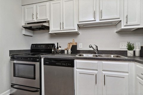 a kitchen with white cabinets and a dishwasher and a sink