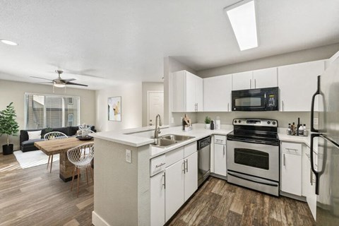 a kitchen and living room with a stove and a sink
