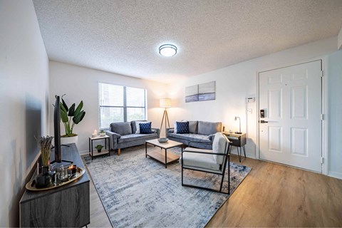 A living room with a grey sofa and a grey rug.