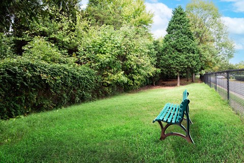 A green park bench sits in the middle of a grassy area.