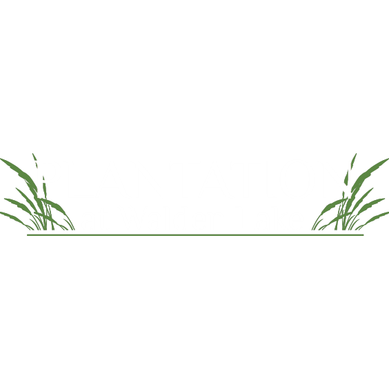 Plantation At Walden Lake Apartments In Plant City Fl