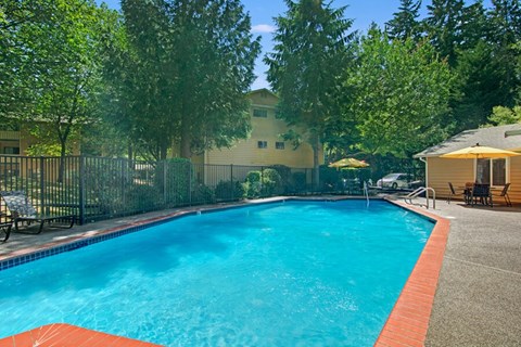 Community Swimming Pool at Ridge & Shores Apartments located in Federal Way, WA.