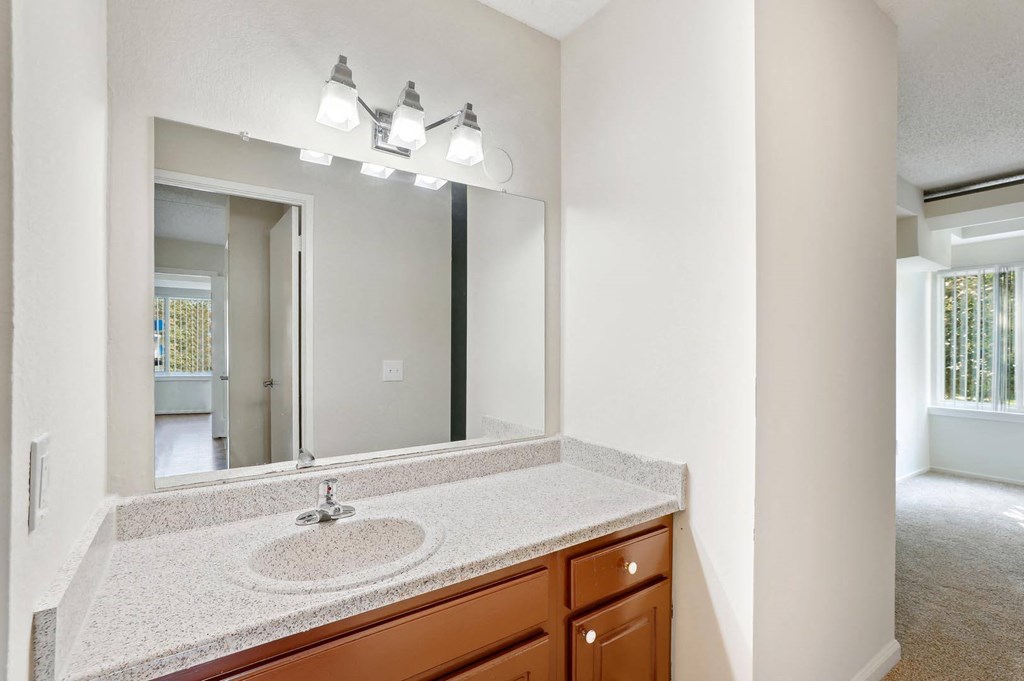 a bathroom with a large mirror and a sink