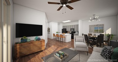 Living Room  / Kitchen