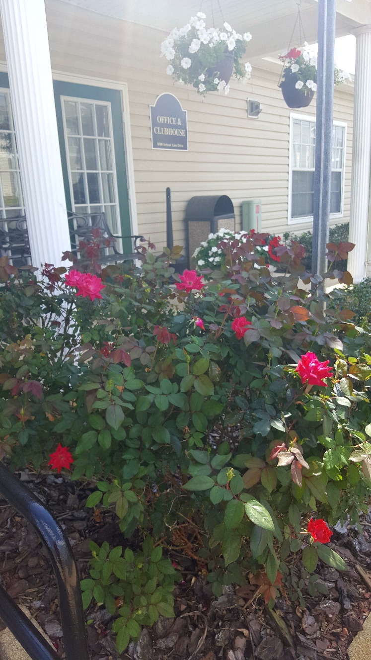 Arbours At Silver Lake