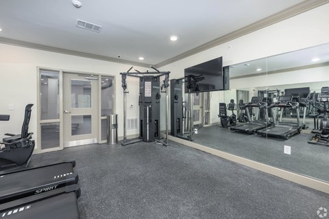 A spacious gym with a variety of equipment including treadmills, weights, and a television.