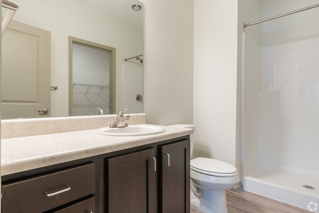 a bathroom with a sink and a toilet and a shower