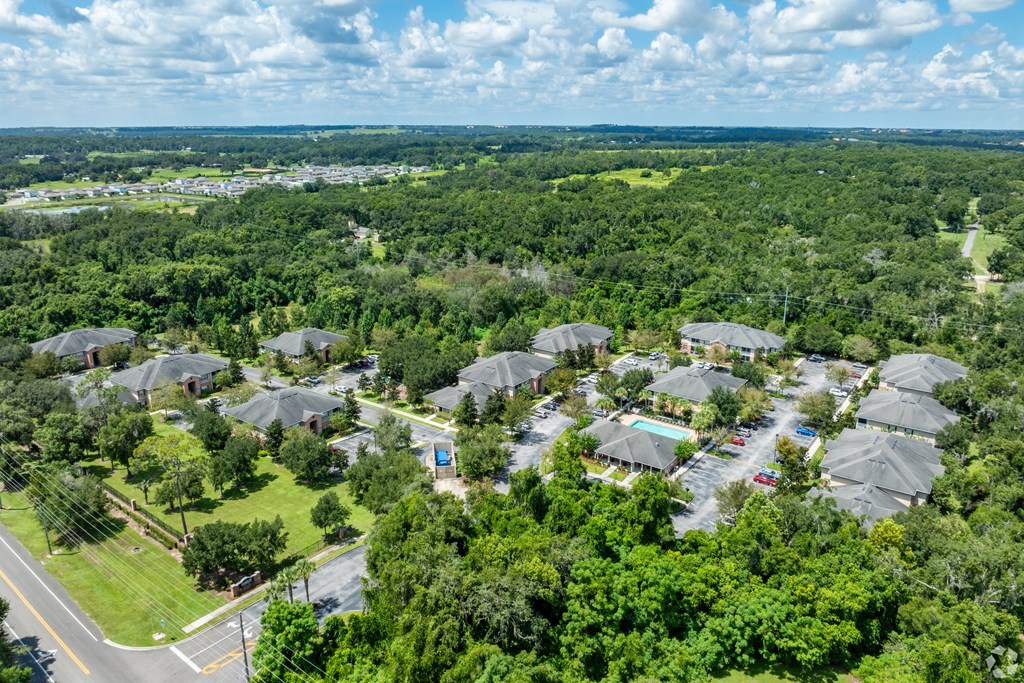 A bird's eye view of a residential area with houses surrounded by greenery.