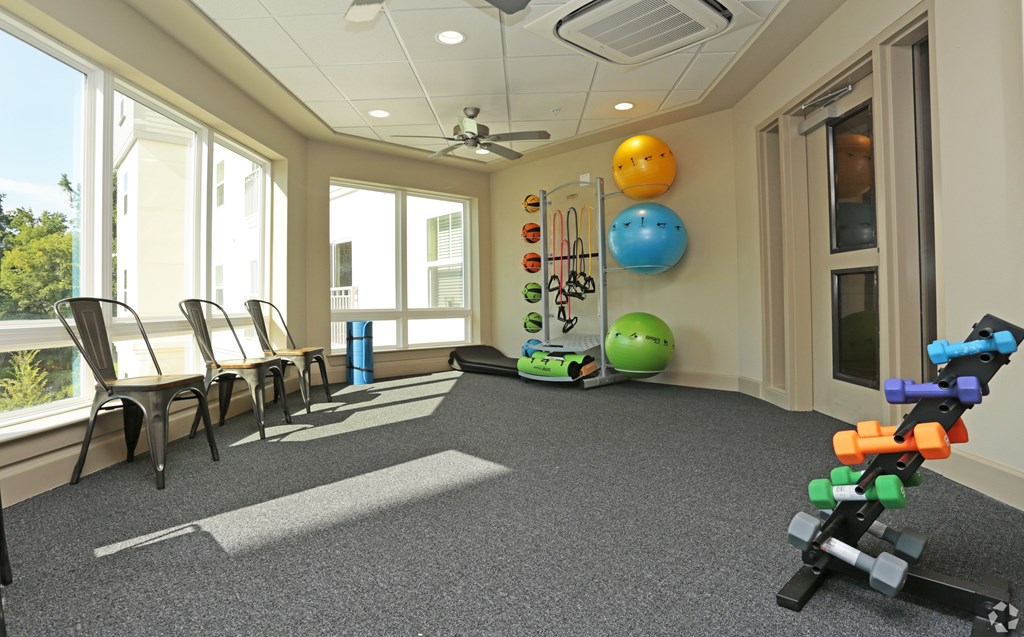 A room with exercise equipment and a Lego figure at Arbours at Tumblin Creek ~ Active 55+ Adult Community, Gainesville