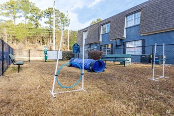 Bark Park - Photo Gallery 6