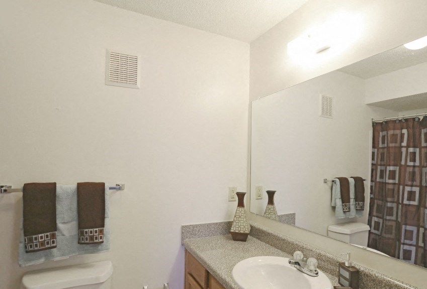 a bathroom with a sink and a mirror and a toilet