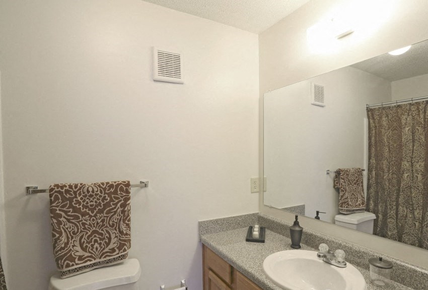 a bathroom with a sink and a mirror and a toilet