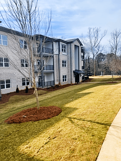 an apartment building with a tree in front of it
