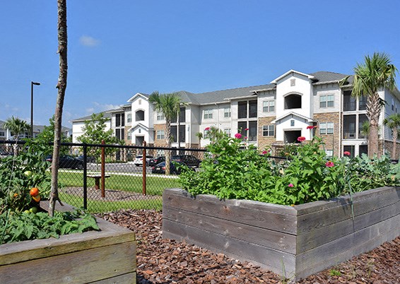 Garden Area at Arbours at Crown Point, Ocoee, Florida