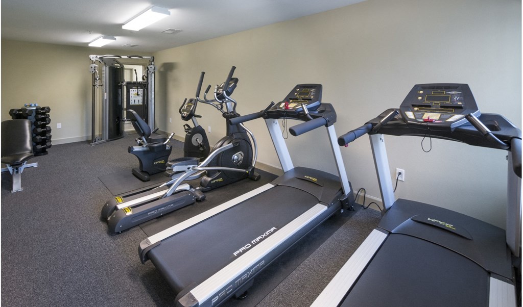 Fitness Center at Arbours at Tumblin Creek ~ Active 55+ Adult Community, Florida