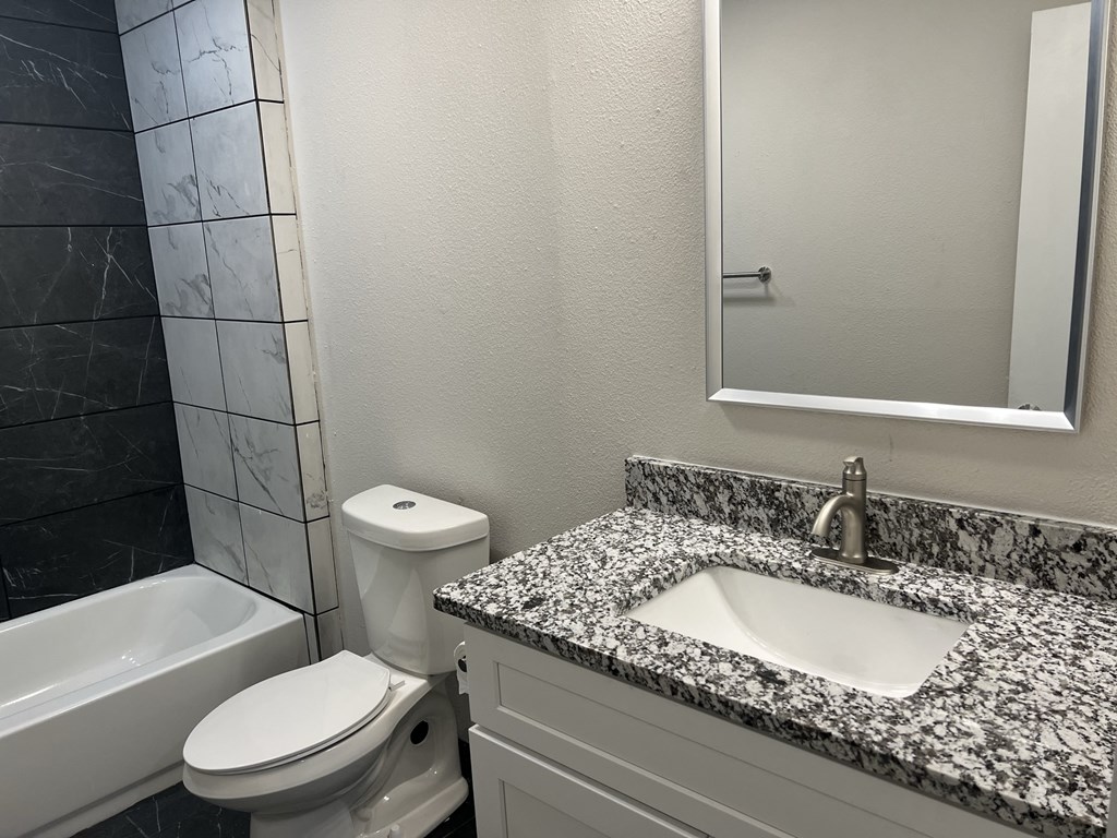 a bathroom with a sink toilet and a mirror