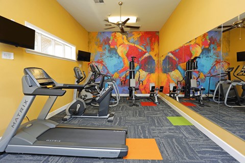 A gym with treadmills and exercise equipment.