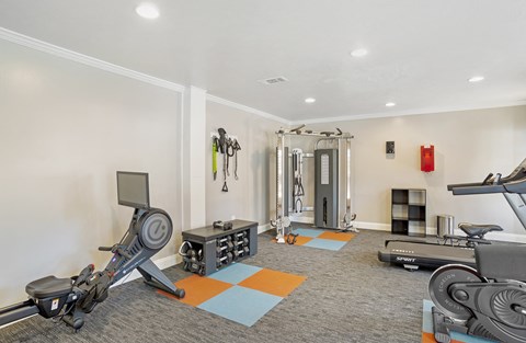 Gym at Arbors at Natchez Trace Apartments, Mississippi, 39157