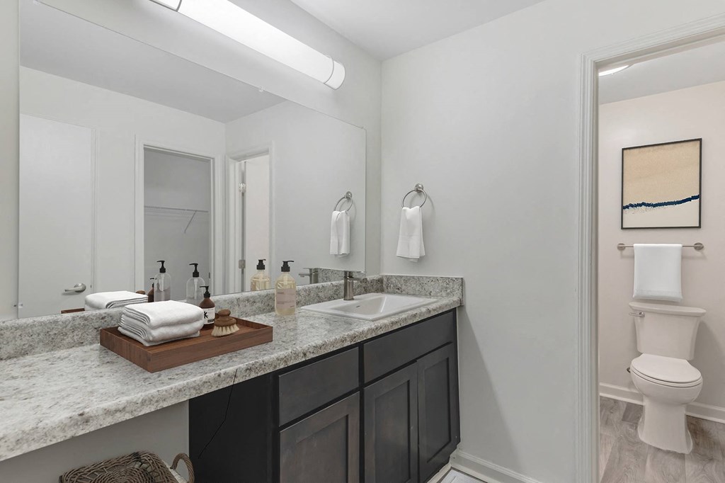 a bathroom with a sink and a toilet and a mirror