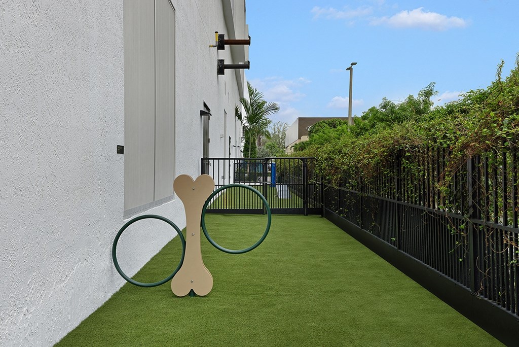a yard with a tennis racket and a bike on it