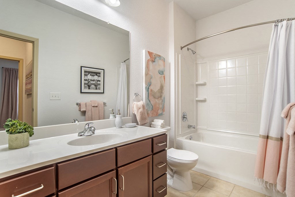 Bathroom at Broadstreet at EastChase Apartments, Montgomery, AL