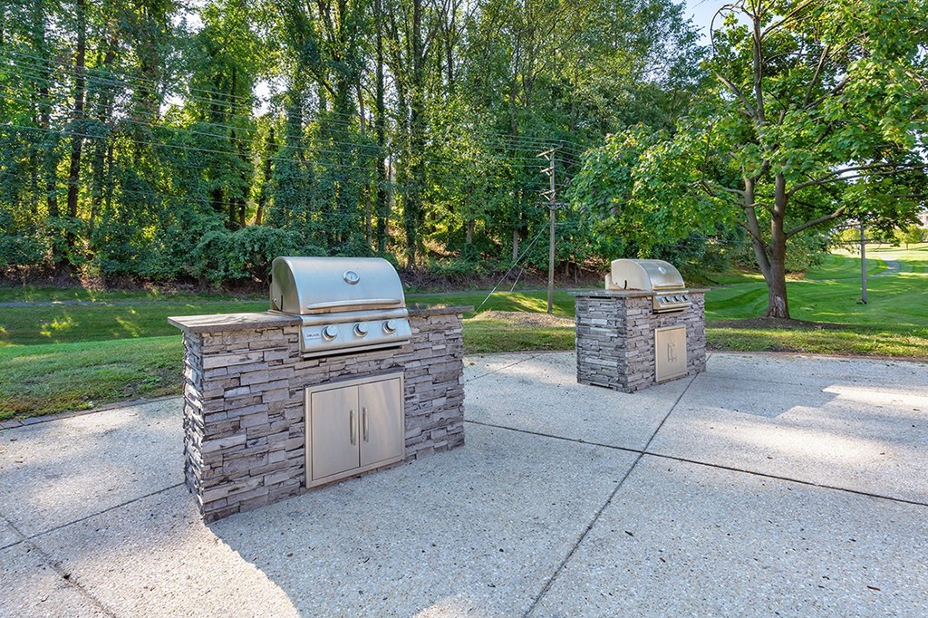 two barbecue pits in a park with trees at Copper and Quarry Village, Pikesville